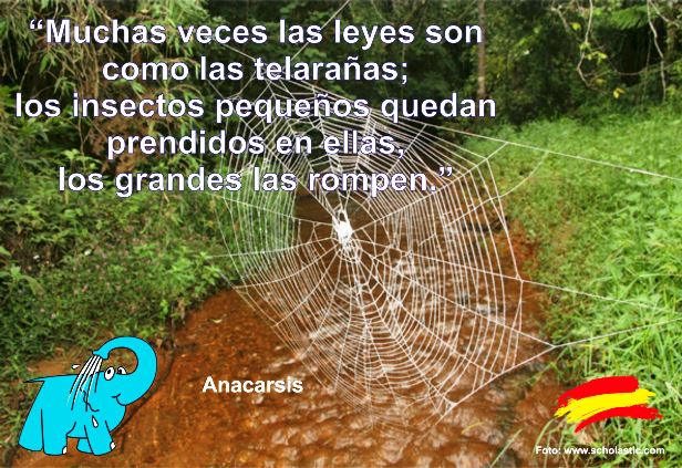 Muchas veces las leyes son como las telarañas; los insectos pequeños quedan prendidos en ellas, los grandes las rompen.